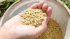 Россия имеет большие шансы увеличить долю в мировом экспорте кормов